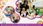 View this ad