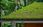 Se denne annonsen