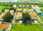Annonce ansehen